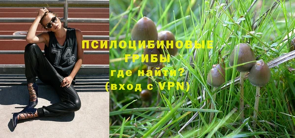 первитин Гвардейск