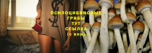 MDMA Протвино