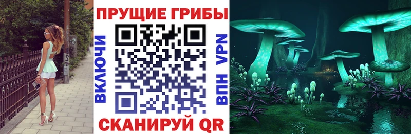 Галлюциногенные грибы GOLDEN TEACHER Циолковский